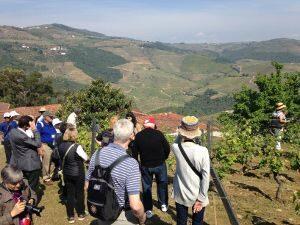 Portugal wine tours